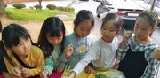 서산동문동성당 - 본당 생태환경 돌아보기