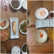[2020년 창조질서보전을 위한 바른 먹거리 실천운동 