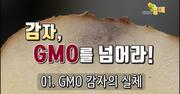 유병덕, 「판도라의 감자, 최악의 GMO」, 《가톨릭평론》 33호(2021년 가을호), 5