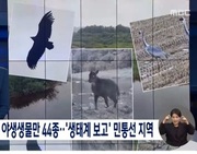 멸종위기 야생생물만 44종…'생태계 보고' 민통선 지역 _MBC뉴스 2021 06 17