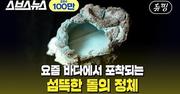 [뉴띵EP.09] ※경고※ 이 돌이 흔해지면 인류 멸망이 가까워집니다_스브스뉴스 2021.