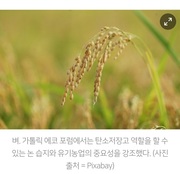 [농업]“생태농업 지속 가능성, 관건은 소비자"_가톨릭뉴스 지금여기 220914