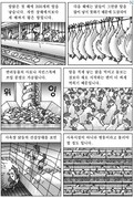 [7년여정]달걀 의 비밀/만화로 읽는 '찬미받으소서 7년 여정'_가톨릭뉴스 지금여기 220