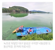 [4대강]낙동강 녹조 독성물질, 1.17㎞ 떨어진 주택가까지 날아갔다_한겨레 220922