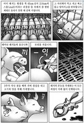 [7년여정]돼지의 눈물/만화로 읽는 '찬미받으소서 7년 여정'_가톨릭뉴스 지금여기 2206