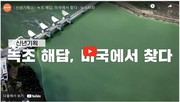 [4대강]캘리포니아는 왜 녹조 독소를 세계 최고로 강하게 규제하는가_뉴스타파 230119