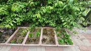 230422.  도안동성당 상자텃밭