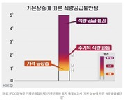 [먹거리]세계는 내일을 위한 ‘밥상 전쟁 중’ [밥상 기후위기보고서]③_KBS 230927