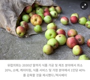 [자원순환]EU, 섬유 폐기물 분리 비용 생산자 부담…음식물 쓰레기는 40% 줄여야_임팩트