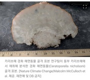[기후]"지구 온난화 이미 1.5℃ 넘어섰다…10년 내 2℃도 돌파 전망&quot