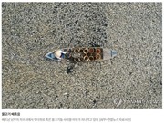[기후] 2024년, 역사상 가장 더운 해 확실…'1.5도 방어선' 첫 붕괴_연합뉴스 24