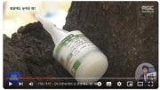 [생명다양성]"벚나무에 꽂힌게 뭐죠?" 영양제인가 했더니.._MBC 24