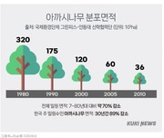 [생명다양성]아까시만 심으면 꿀벌 돌아오나…개화 고작 ‘17일’_쿠키뉴스 240424