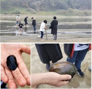 2026년 생태달력 2월(습지) 3주 :  기후위기로 사라져 가는 습지와 생물종을 기억하기