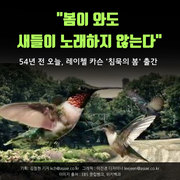 [2026년 생태달력 5월(꿀벌과 곤충)] 2주 : 꿀벌과 곤충에 깃든 하느님의 지혜와 선