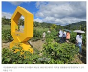 [2026년 생태달력 5월(꿀벌과 곤충)] 4주 :  생명 존중과 공존의 방법 찾아보기/ 