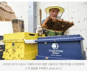 [2026년 생태달력 5월(꿀벌과 곤충)] 5주 :  도시양봉, 도시에서 벌을 키운다구요?