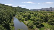 [2026년 생태달력 4월(풀과 나무)] 1주 : 회칙 『찬미받으소서』 86항 읽고 묵상하