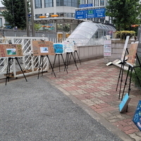 210927. 찬미받으소서 7년 여정 개막미사. 