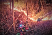 220302. 최근 ‘10년 평균 2.5배’ 산불…기후변화와의 연관성은?_한겨레