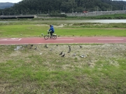 220223. 강변 산책로 죽은 지렁이... 대선 후보 공약을 생각한다 /최수경 _오마이뉴