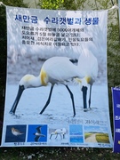 220407. 제39차 세종가톨릭기후행동 금요기후행동